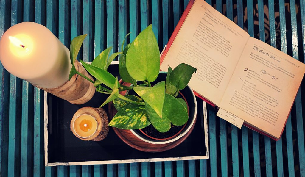 Home style Tour with Rajni in Hyderabad: the collection of green plants, candle stands and book