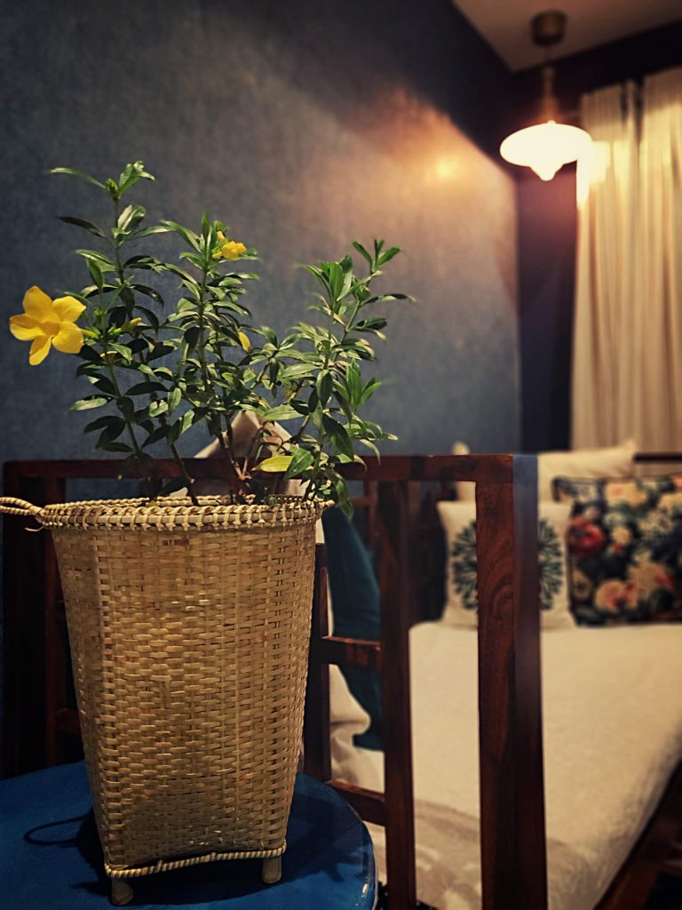 Home style Tour with Rajni in Hyderabad: the living room is filled with basket plant