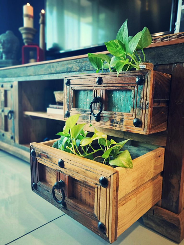 Home style Tour with Rajni in Hyderabad: the drawer was converted into planter