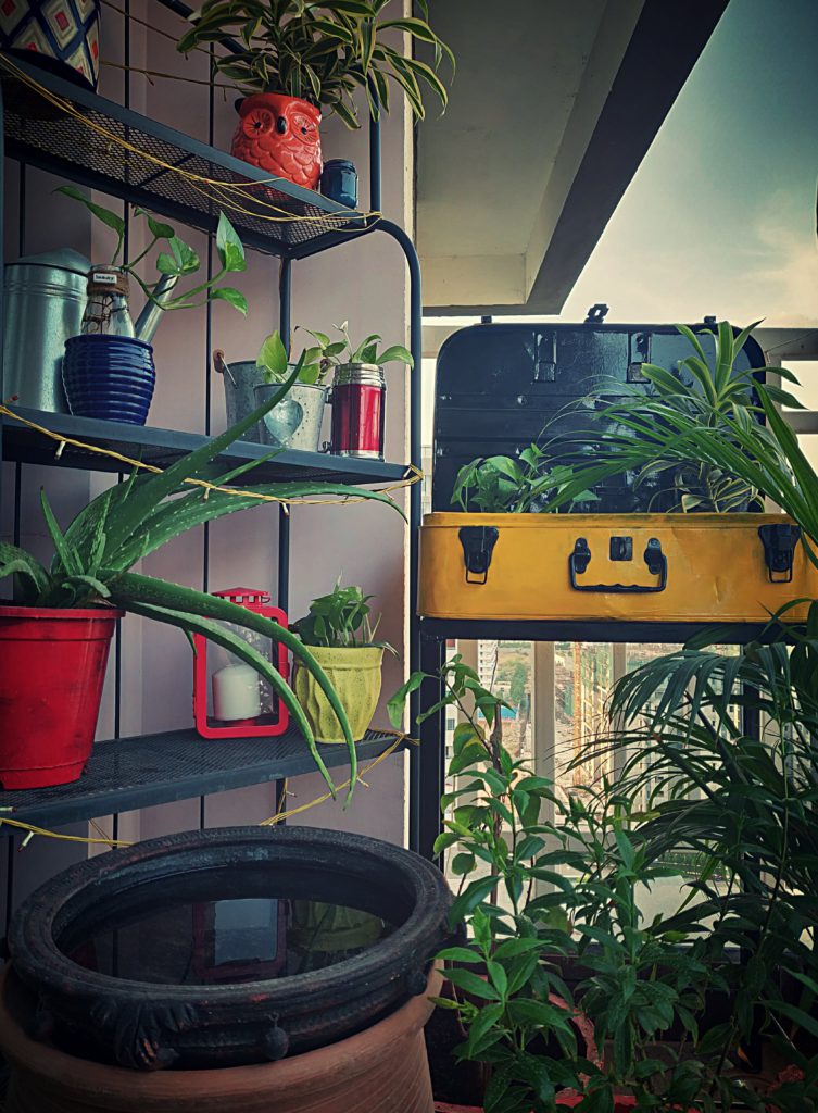 "Home style Tour with Rajni in Hyderabad: the old trunk was painted and converted into planter in my balcony