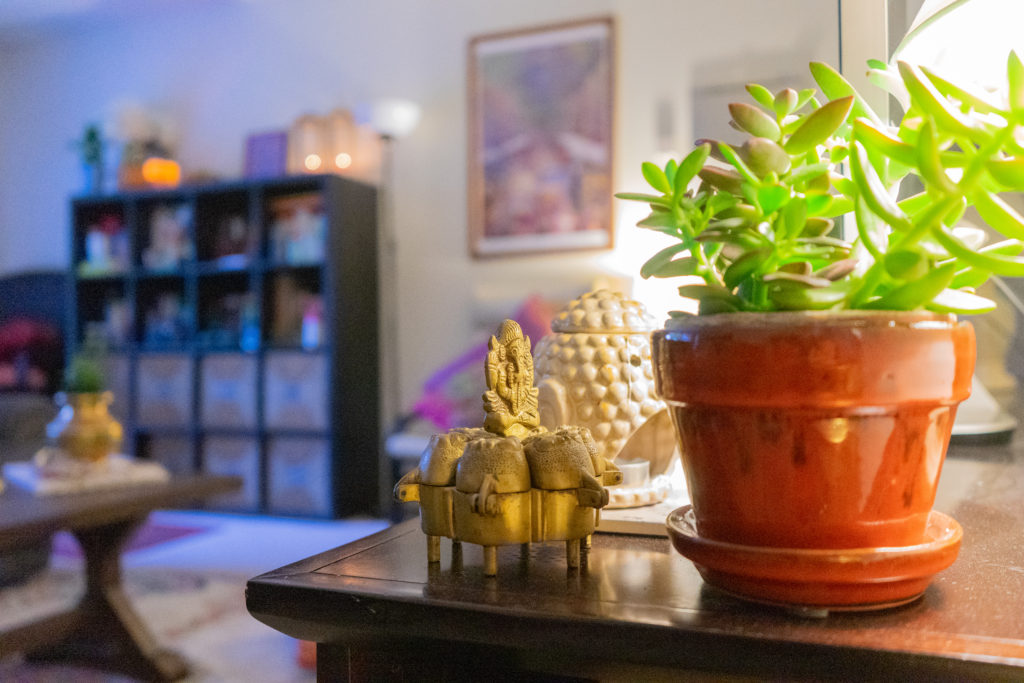 Affinity for antiques and collection of vintage | Home tour of Rushika & Dipkal's - the collection of succulent plants and buddha at the living room