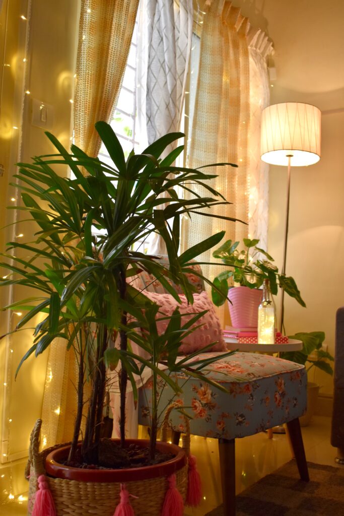 the living room corner decorated with light, gold curtain, green plants, standing lamp and chair in pink color