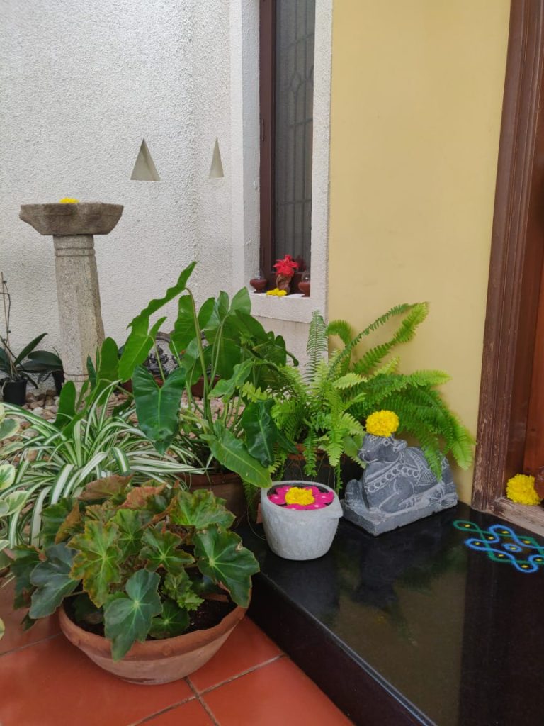 the green plants at the corner of front door entryway