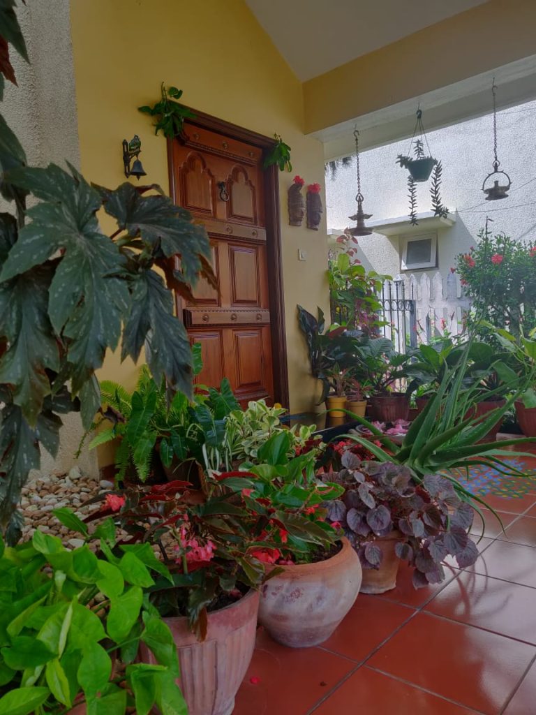 the beautiful indoor and outdoor green spaces, brass hanging diya and wall mask decor at the front door