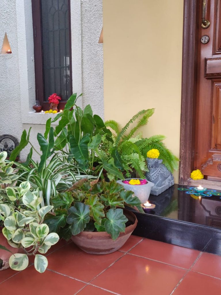 the green plants at the corner of front door entryway