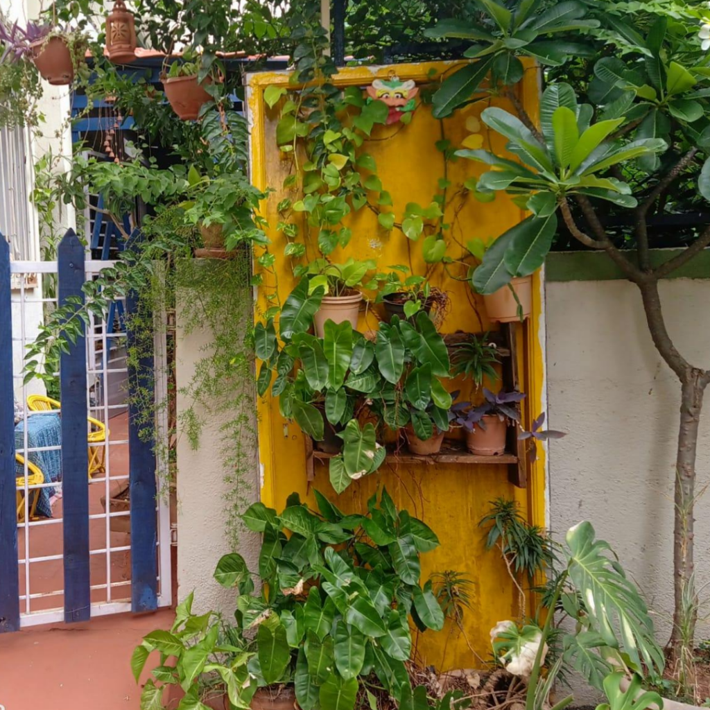A yellow painted door, and plant-laden shelves at other side of the gate | Leesha's Pune home | Thekeybunch