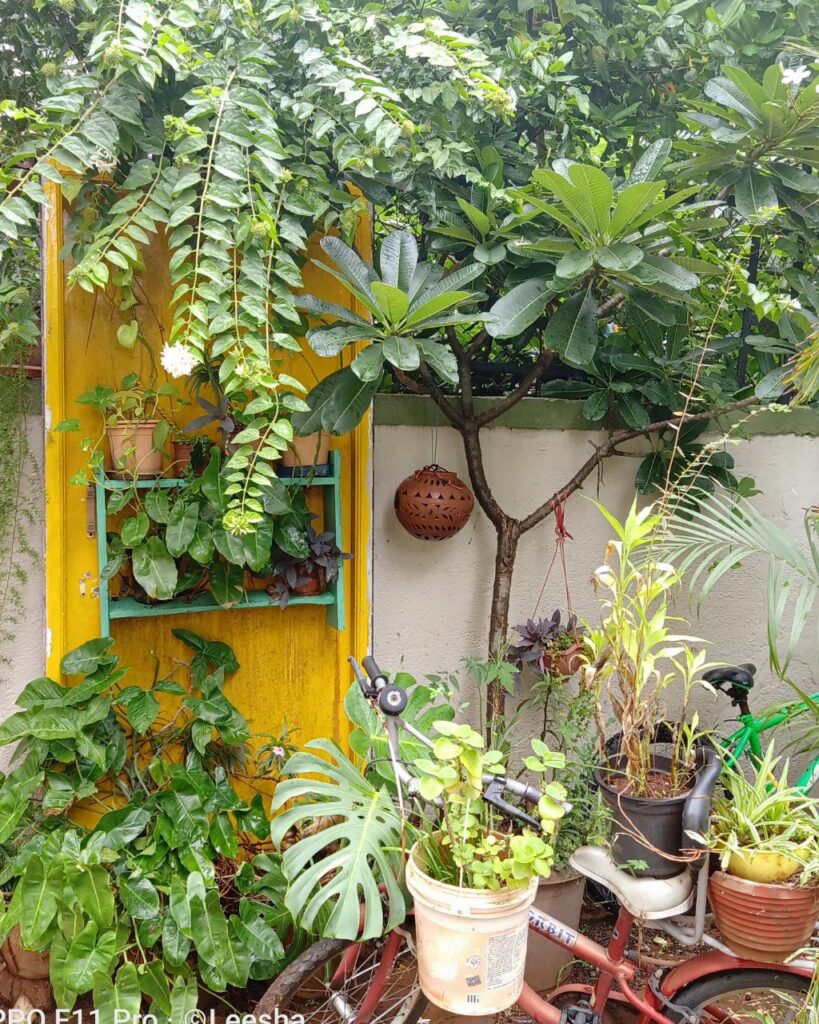 An old doors, painted in bright colours, surely adds life to Leesha's beautiful garden | Pune home tour | Thekeybunch