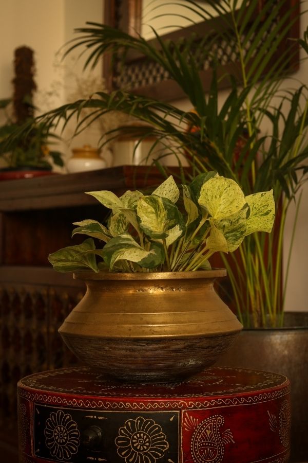 Vintage brass planter decorated in living room | Home Tour: A beautiful Antique Modern home in Bangalore