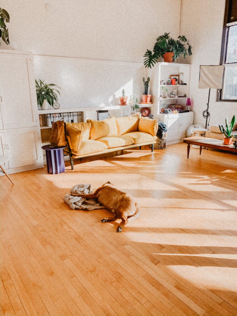 Dry, carpet free floors |Monoon decor and living edit