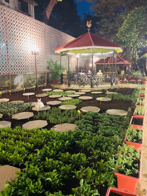 Villa Rashmi - A Heritage Gem in Mumbai | The green and fresh vegetable at the garden | TheKeybunch decor blog