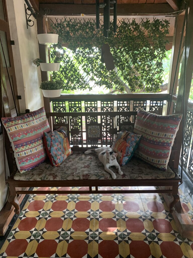 Villa Rashmi - A Heritage Gem in Mumbai | The colorful cushion cover and cute cat on antique chair at the verandah | TheKeybunch decor blog