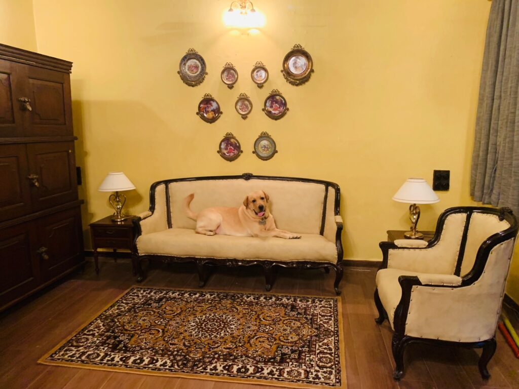 Villa Rashmi - A Heritage Gem in Mumbai | Decorative wall frames, wooden cabinet and lamp on side table decorated at the living room | TheKeybunch decor blog