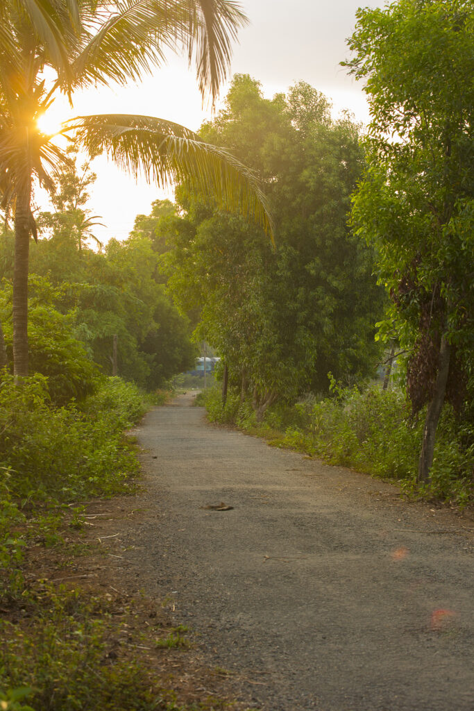 Betalbatim in Goa, India | A quiet road leading to the beach | TheKeybunch decor blog