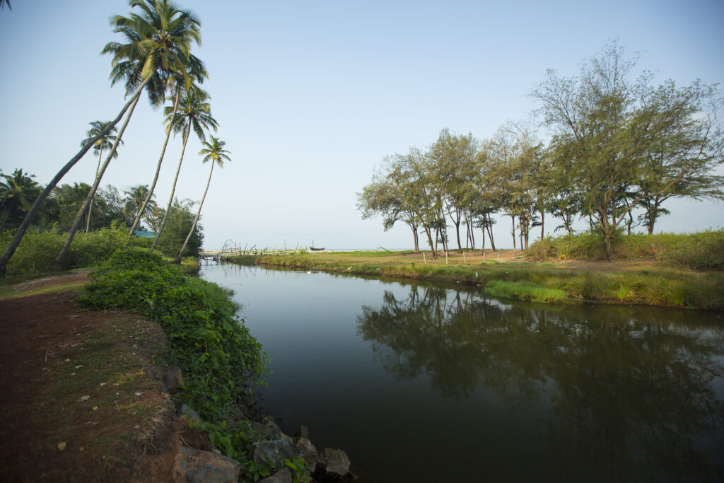 Betalbatim in Goa, India | The water reflects the blue sky and the tree on its two sides | TheKeybunch decor blog