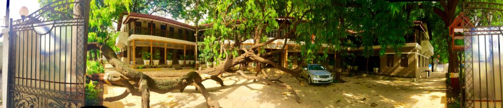 Villa Rashmi - A Heritage Gem in Mumbai | The tree fell during the monsoon | TheKeybunch decor blog