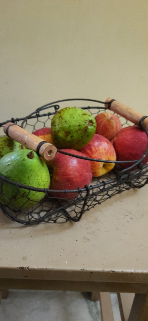 Fall Decor in India - Autumn Season | The beautiful vintage basket made up of iron and metal wire for storage