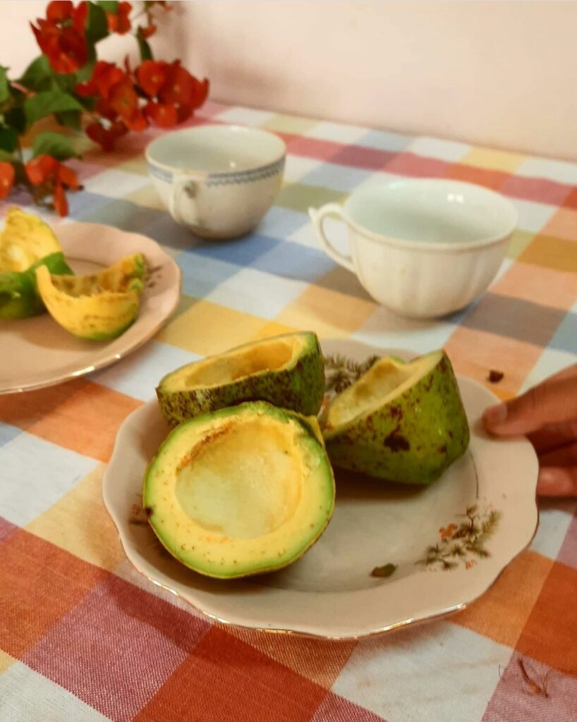 Fall Decor in India - Autumn Season | Avocado on vintage plate