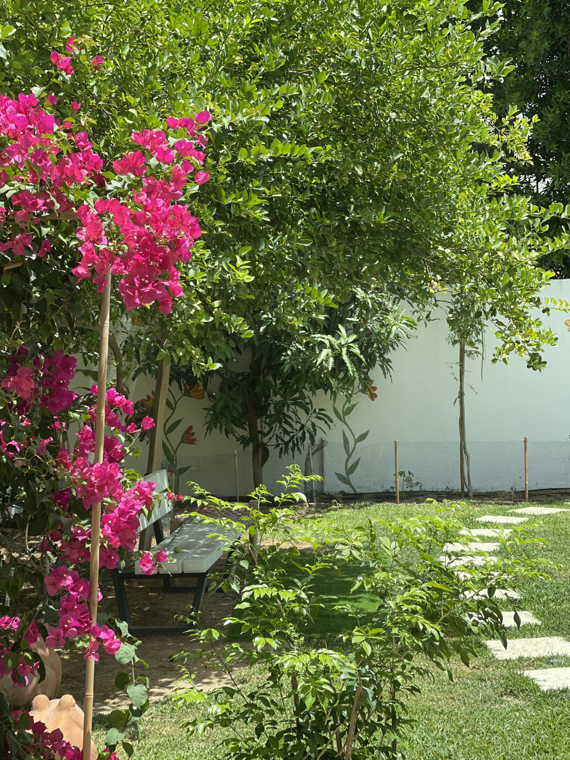 Prameela Nair's Art-Infused Home Abudhabi | Flowers bloom in garden
