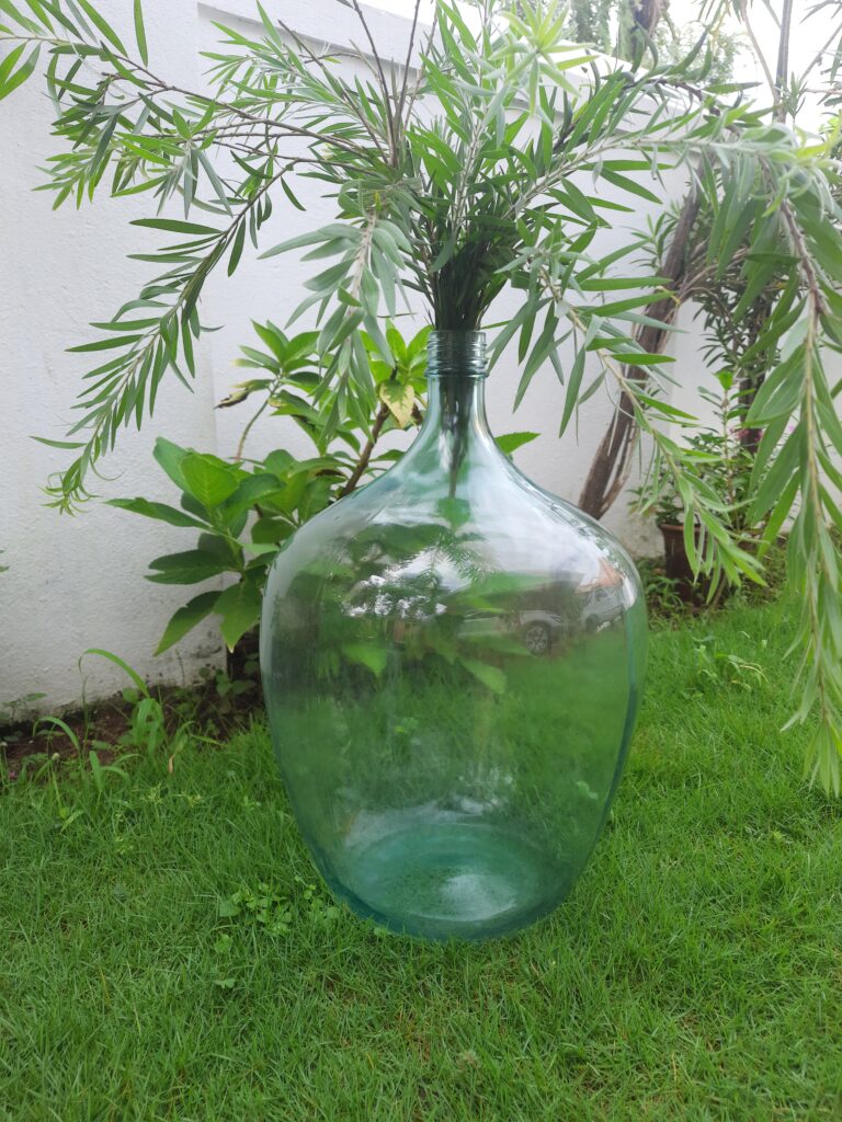 Demijohns in Indian Decor | Blue faux vintage demijohn with green plants in a garden