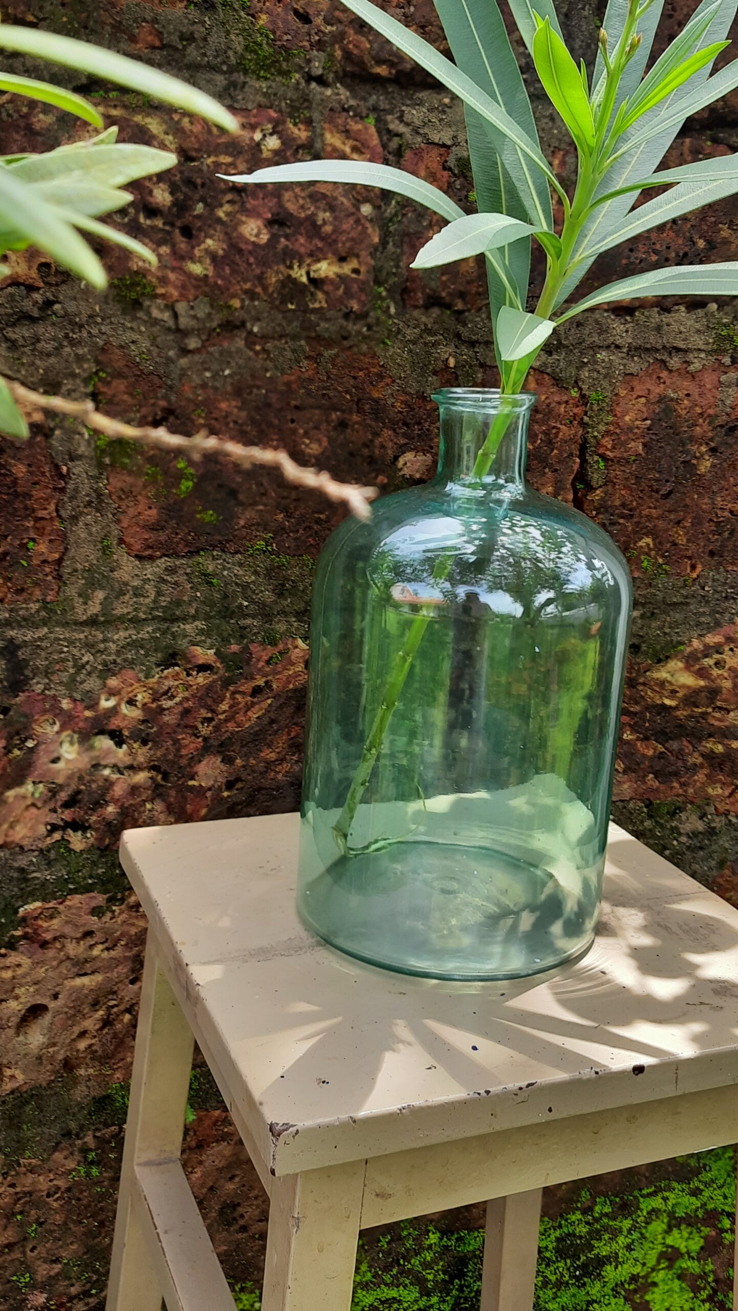 Demijohns in Indian Decor | Blue vintage glass bottle with green plants in a garden