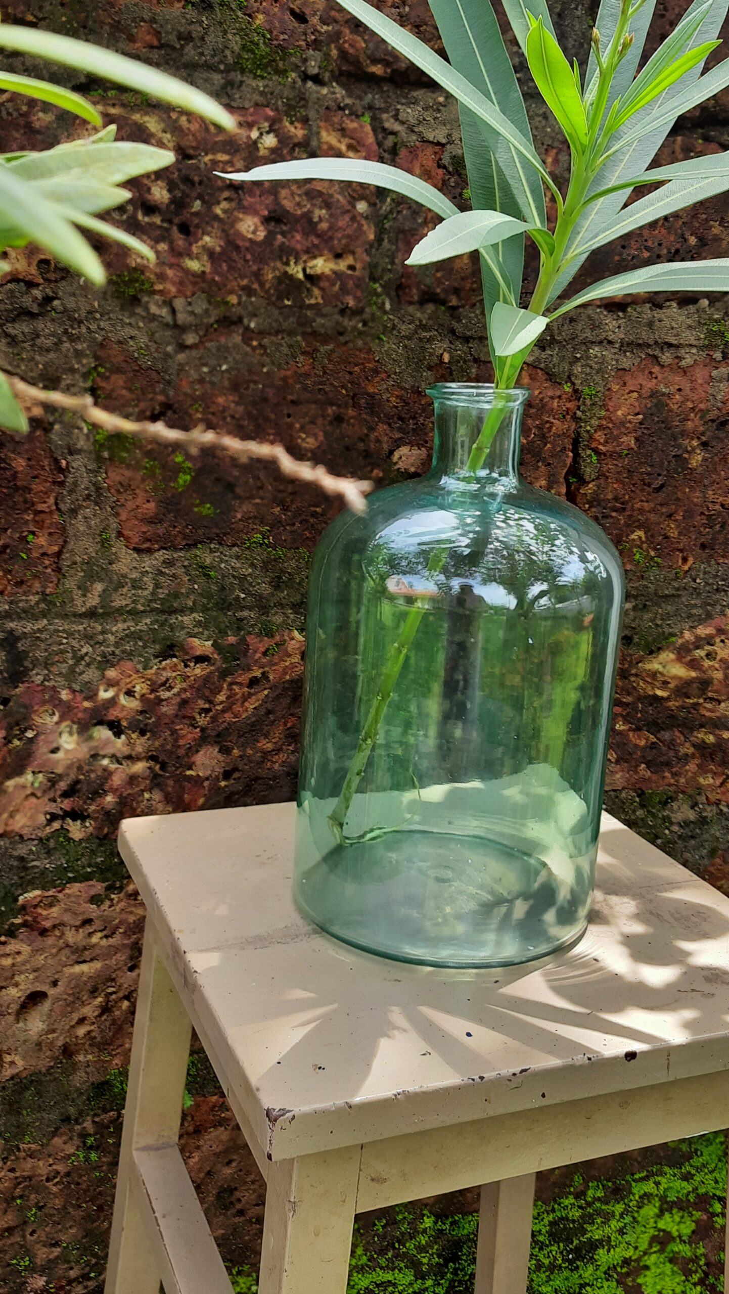 Demijohns in Indian Decor | Vintage glass bottle with green plants in a garden