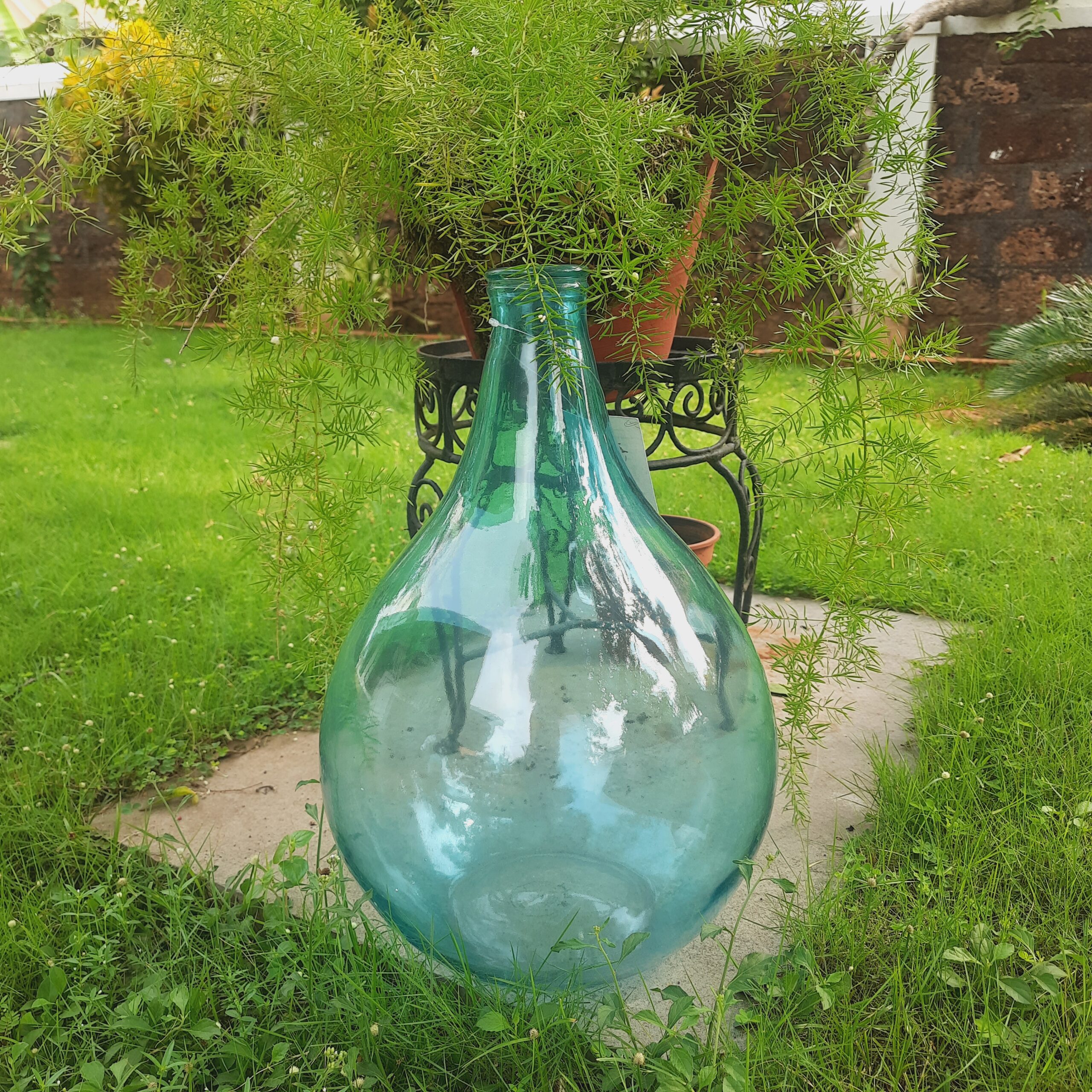 Demijohns in Indian Decor | Blue vintage demijohn bottle with green plants in a garden