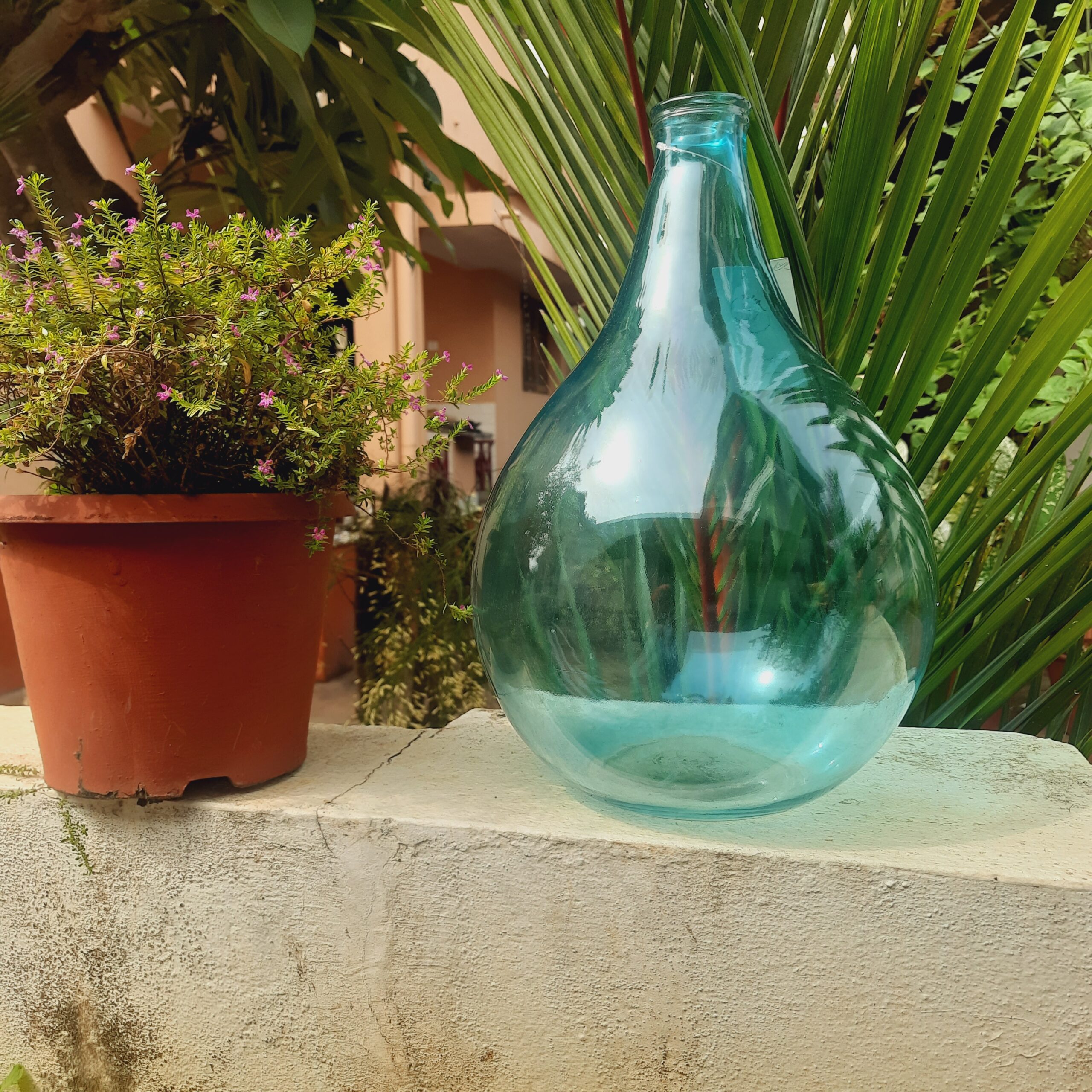 Demijohns in Indian Decor | Blue vintage demijohn with green plants in a garden