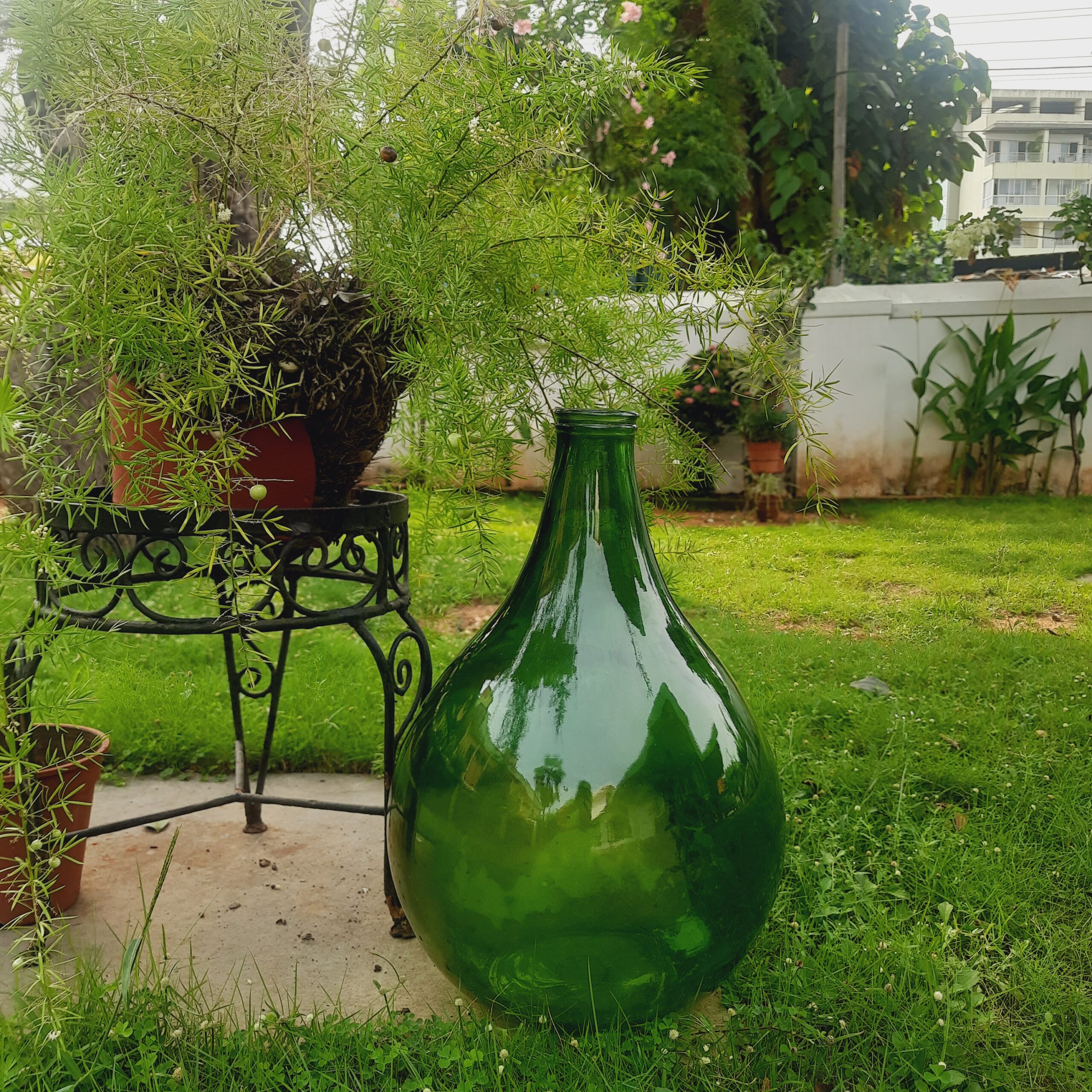 Demijohns in Indian Decor | Green vintage demijohn with green plants in a garden