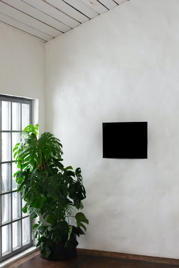Green indoor plants beside window | Black windows in decor
