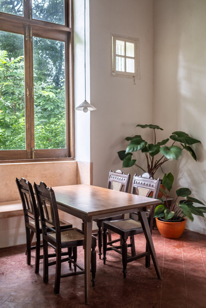 The bright dining room with green plant and window view | 