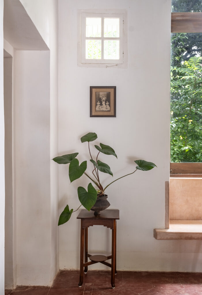 Indoor plant at the corner of the living room | Heritage home in Parra