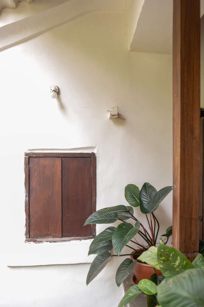 Green plant at the open sitting space | Heritage home in Parra