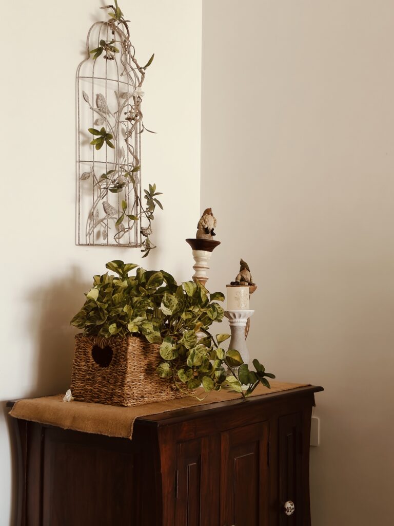 wall hanging birdcage, candle holders and rattan basket with green plant at the living room | Girija home tour in Kochi