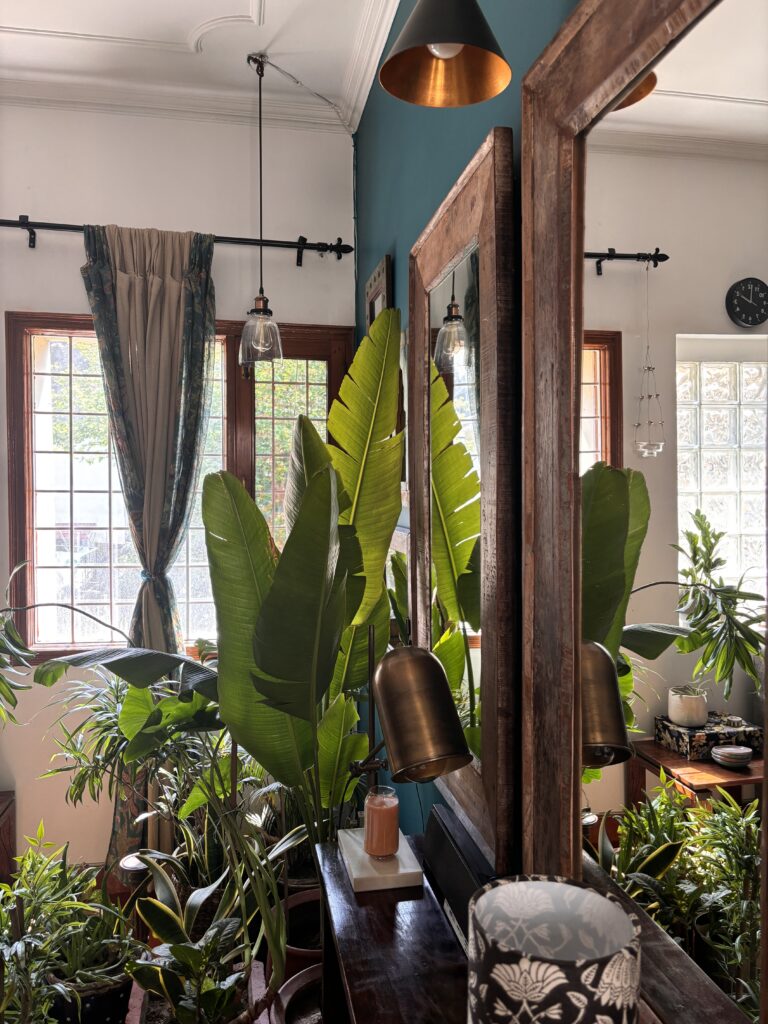 Home tour of Supreet in South Delhi | traditional hanging lamps, rustic-framed mirrors and green plants decorated at the living room