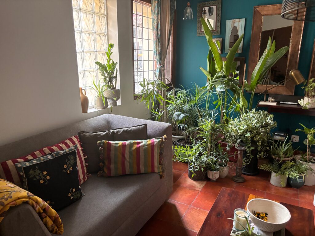 Home tour of Supreet in South Delhi | Well-ventilated with a striking teal-coloured accent wall and terracotta-tiled flooring at the living room