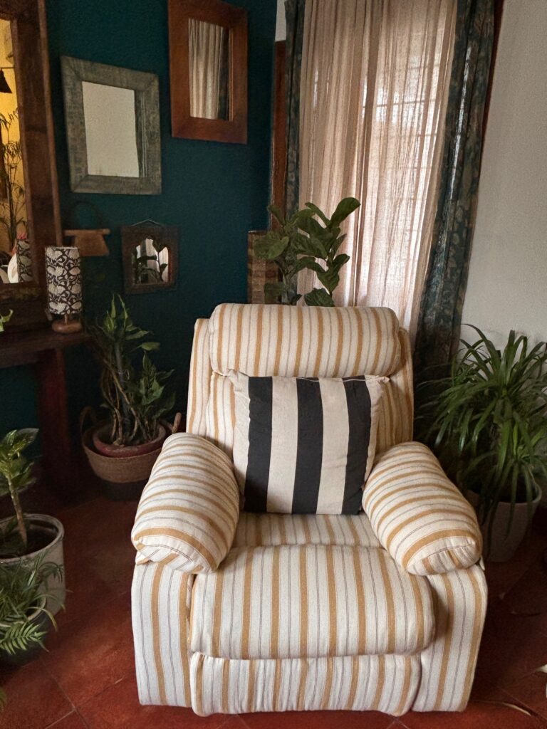 Home tour of Supreet in South Delhi | Wing chair with green plants at the living room